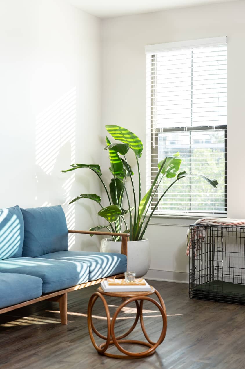 Minimal and Modern Charleston Rental Apartment Apartment Therapy